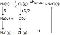 Types of Chemical Bonds | Physical Chemistry for NEET